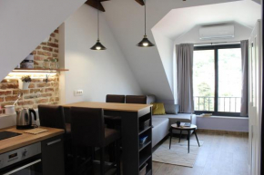 Modern apartments by the sea in the center of Igalo